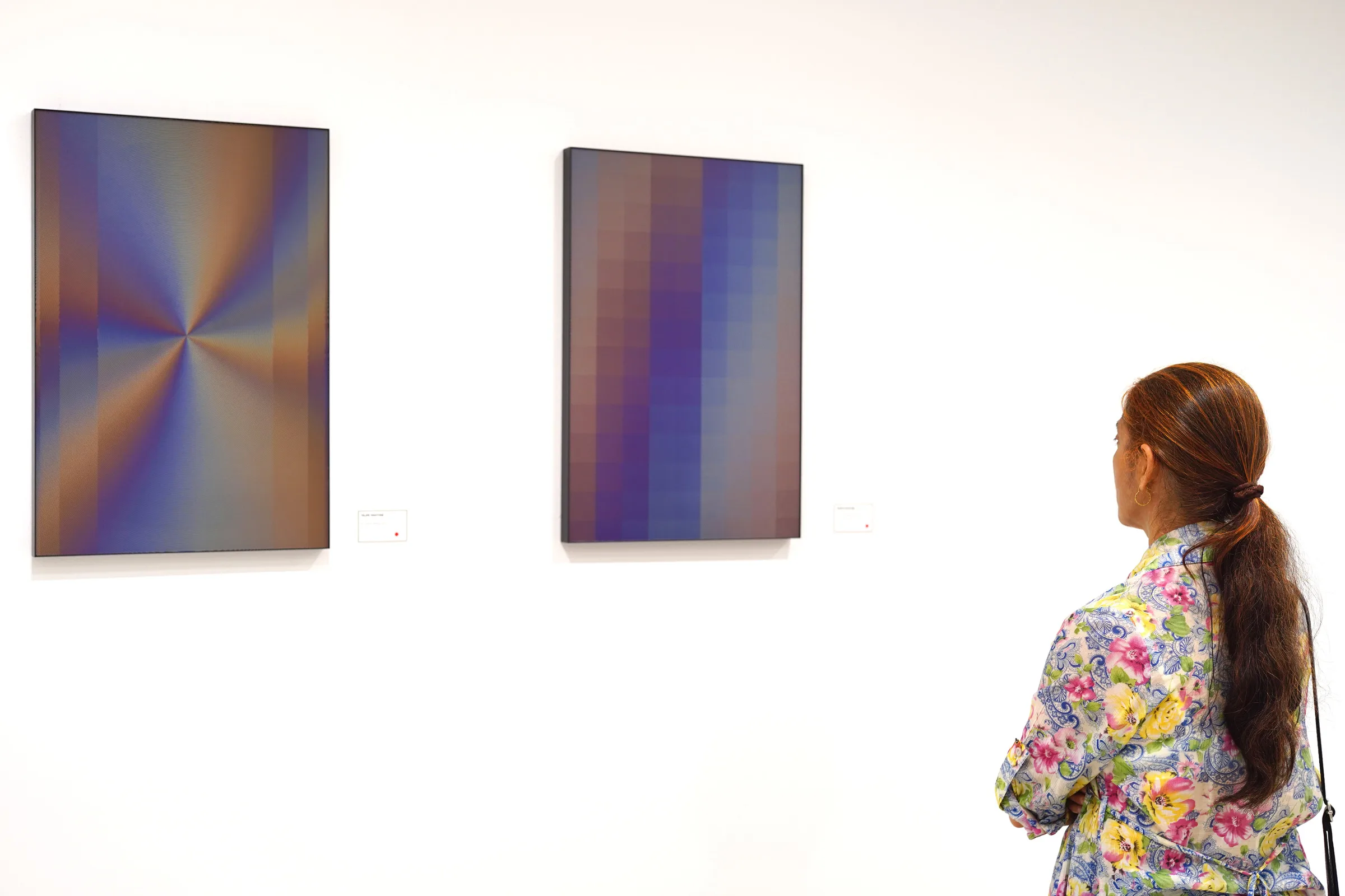 Planned Iridescence 48 — foto 2